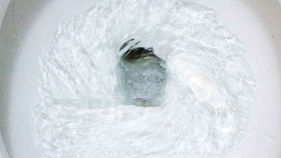 Toilet flushing